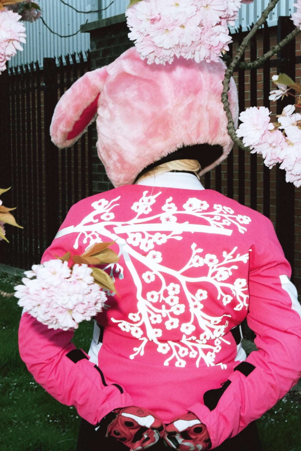 🌸Sakura Bundle 🌸